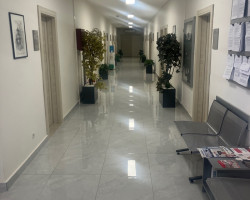 ОДРЕЂЕН ПРИТВОР ПРЕМА ОСУМЊИЧЕНОМ  Б.А.